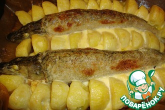 Щука по царски new