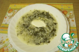 Зеленый борщ