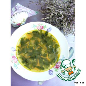 Французский суп из индейки