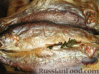 Запеченая форель